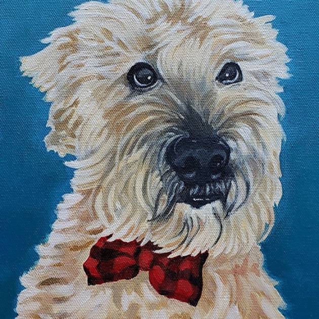 White Doodle Dog