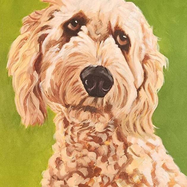Yellow Doodle Dog