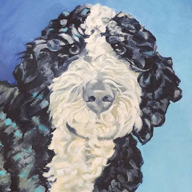 B/W Doodle Dog