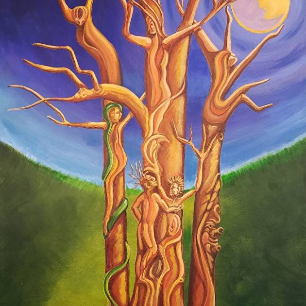 The Secret Life of Trees