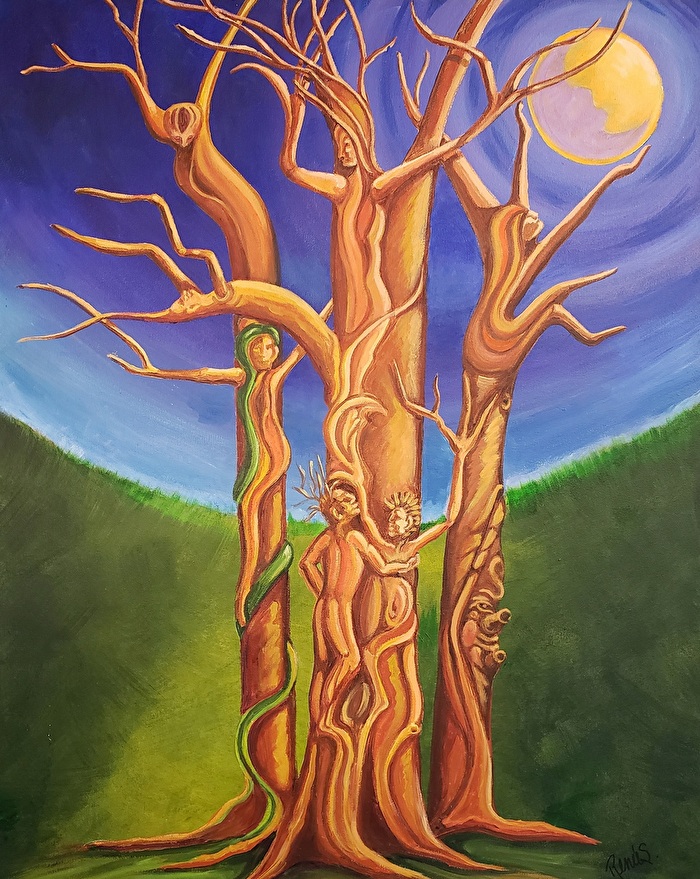 The Secret Life of Trees