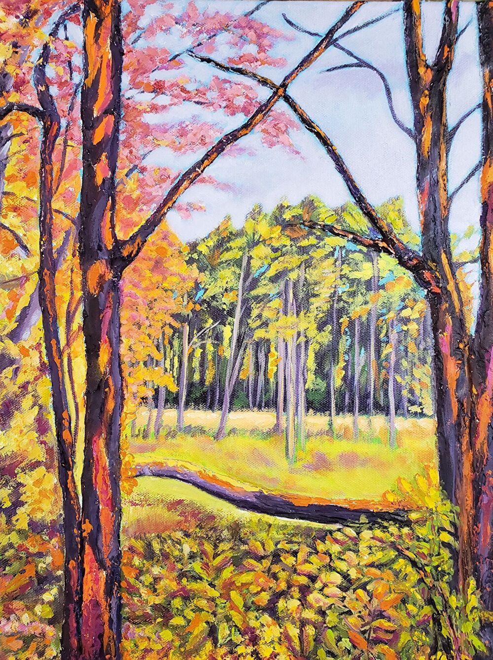 a-walk-in-the-woods