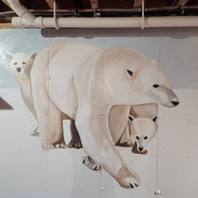 Polar Bears