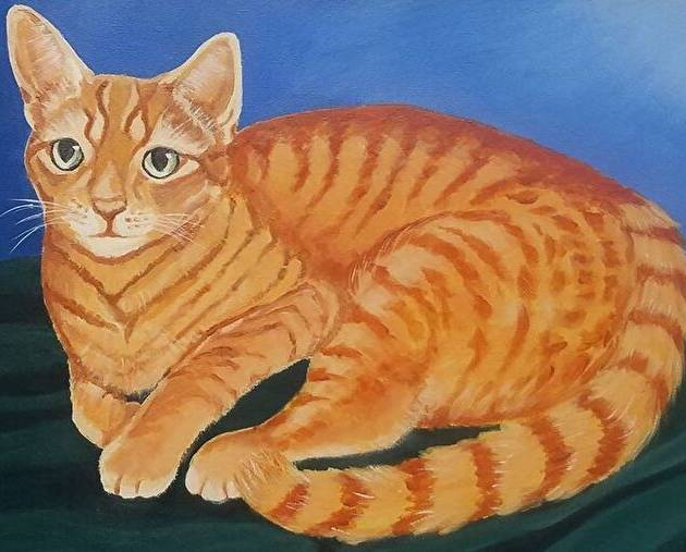 Tabby Kitty