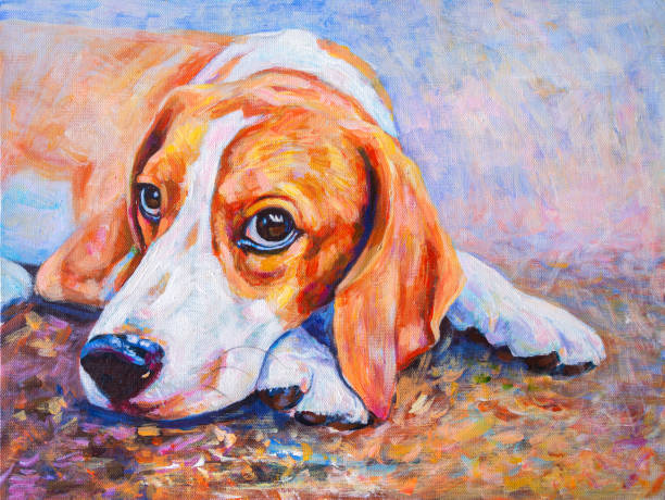 Pet Portraits