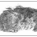 Pet Memorial Portrait Ideas to Honor Dogs, Cats, and Other Pets?